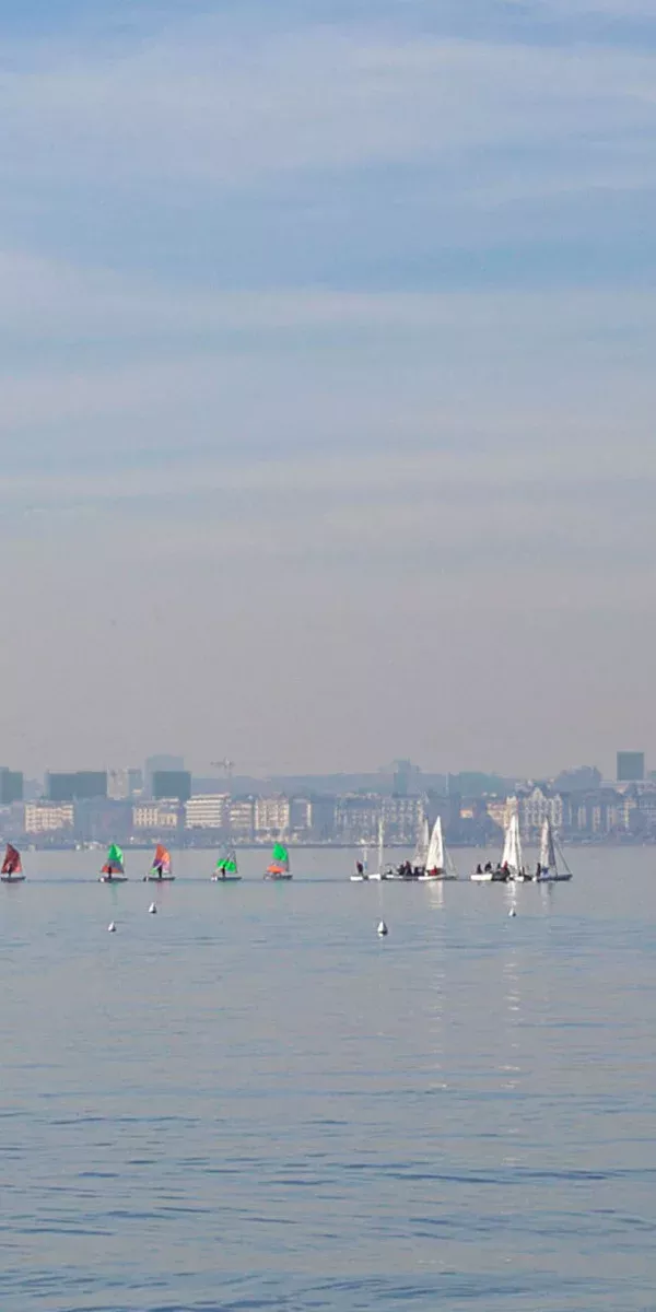 Les tours a geneve_Image de synthese_Loic Muriel_2.jpg